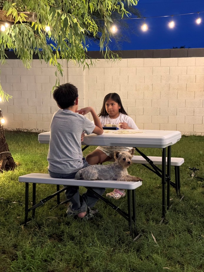 Picnic Table with Collapsible Benches - Patio Furniture - Outdoor